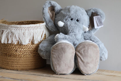 Geboorte Olifant