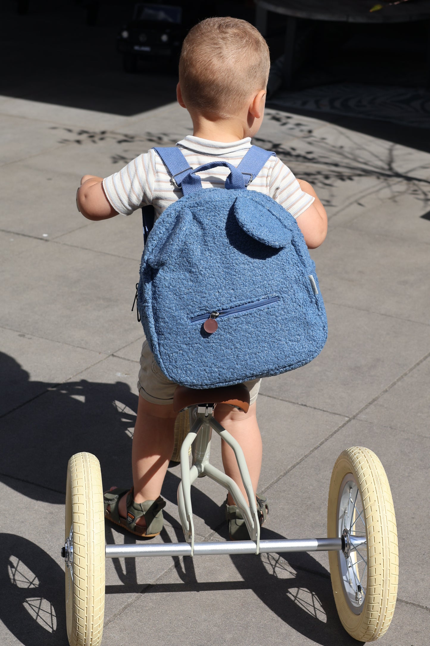 Teddy rugtas blue