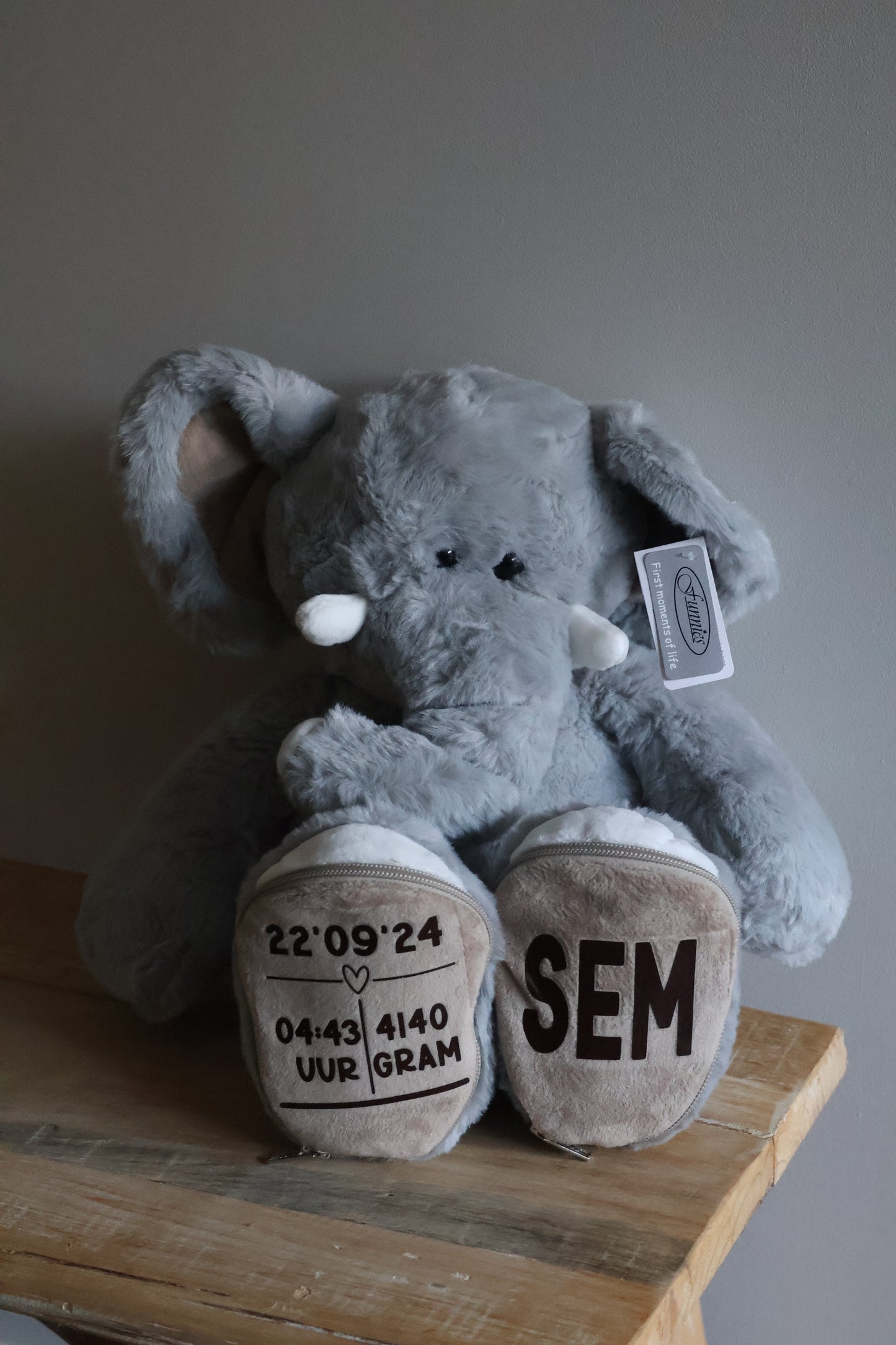 Geboorte Olifant